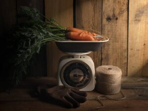 Nejlepší kuchyňské váhy