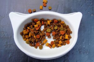 TOP produkty: granule pro kočky