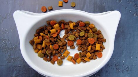 TOP produkty: granule pro kočky